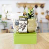 Read Hazelton\'s Canada Reviews